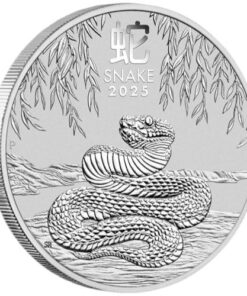 Year of the Snake Silver Coin