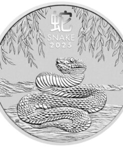 Year of the Snake Silver Coin