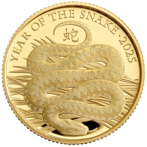 year of the snake gold coin